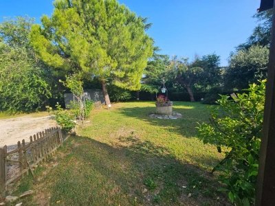 casa indipendente in vendita ad Offagna