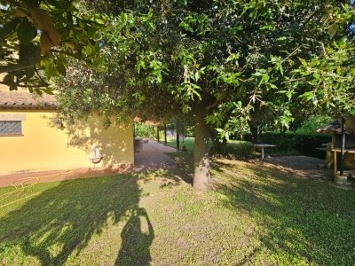 casa indipendente in vendita ad Offagna