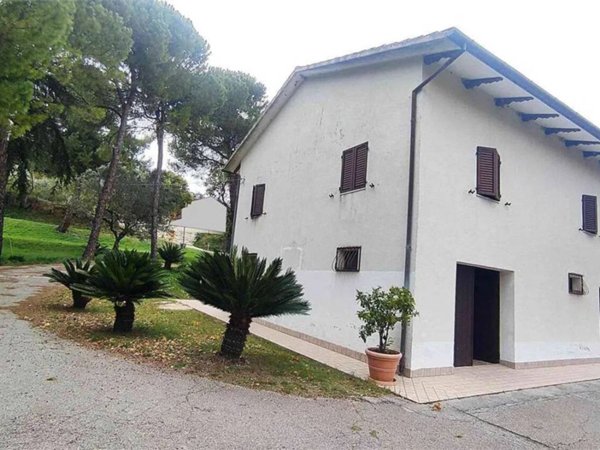 casa indipendente in vendita ad Offagna