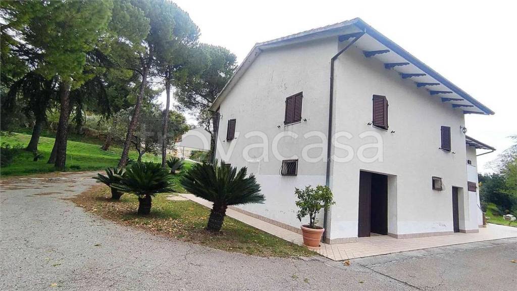 casa indipendente in vendita ad Offagna