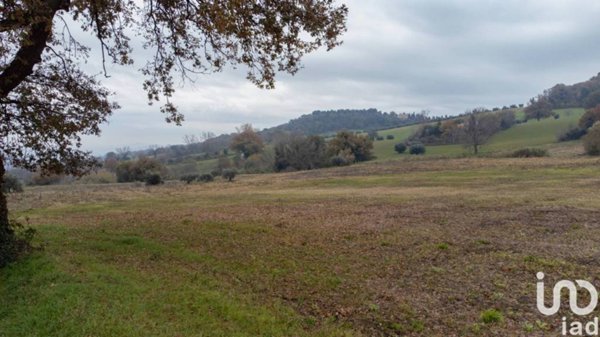 casa indipendente in vendita ad Offagna
