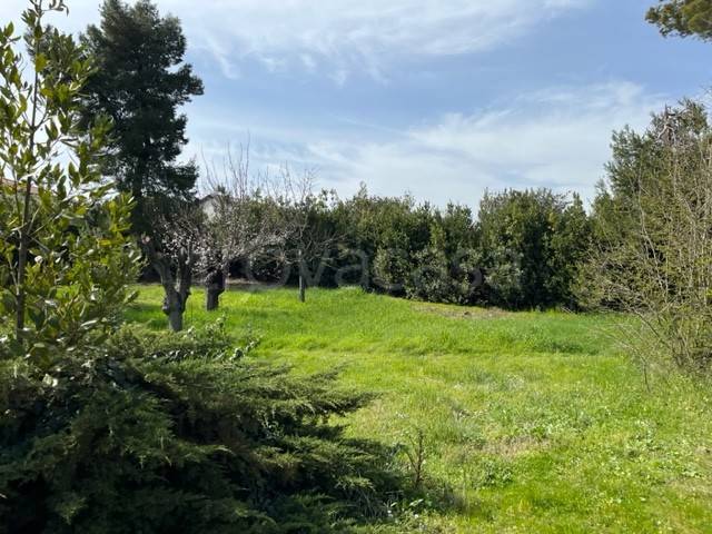 casa indipendente in vendita ad Offagna