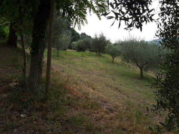 casa semindipendente in vendita ad Offagna