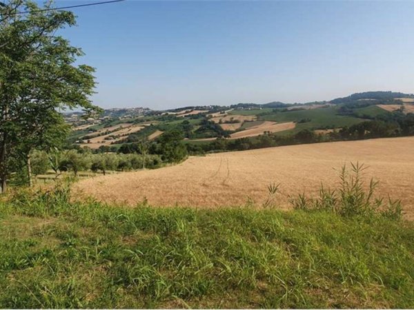 casa indipendente in vendita ad Offagna