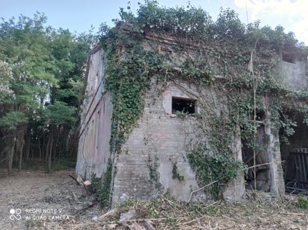 casale in vendita ad Offagna