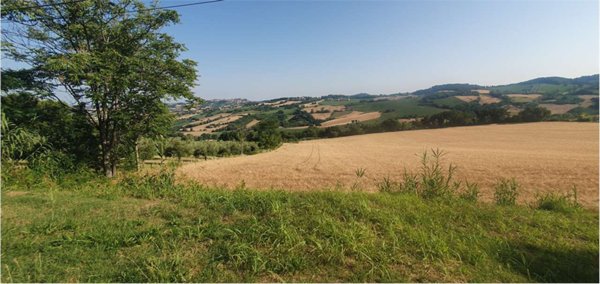 casa indipendente in vendita ad Offagna
