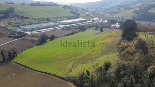 terreno agricolo in vendita ad Offagna
