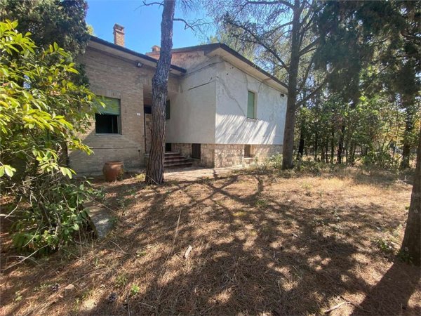 casa indipendente in vendita ad Offagna