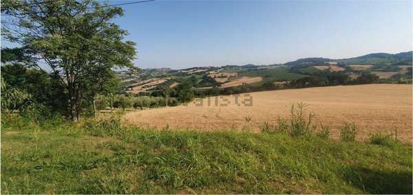 casa indipendente in vendita ad Offagna
