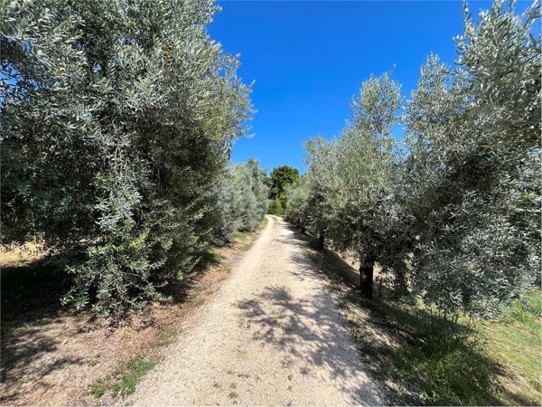 casale in vendita ad Offagna