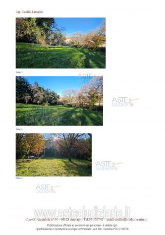 terreno agricolo in vendita ad Offagna