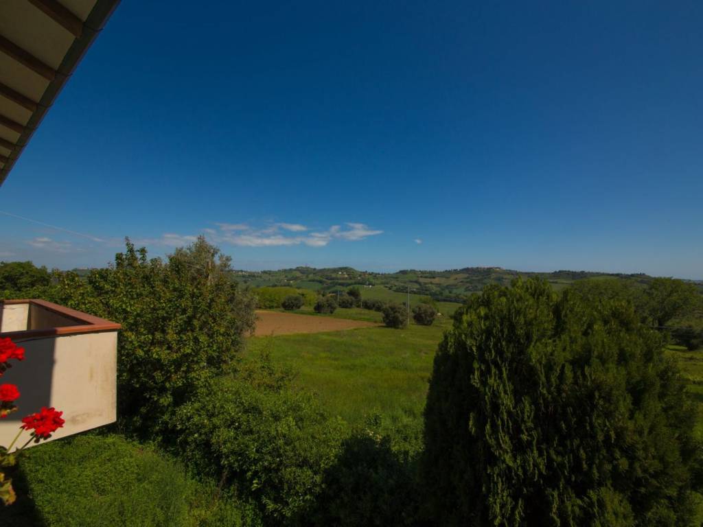 casa indipendente in vendita ad Offagna
