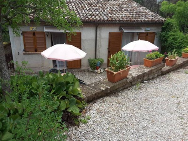 negozio in vendita ad Offagna
