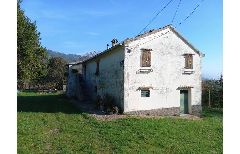 casa indipendente in vendita ad Offagna