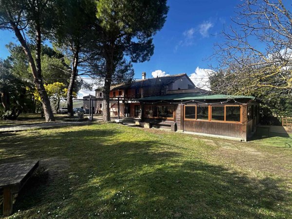 terreno agricolo in vendita ad Offagna