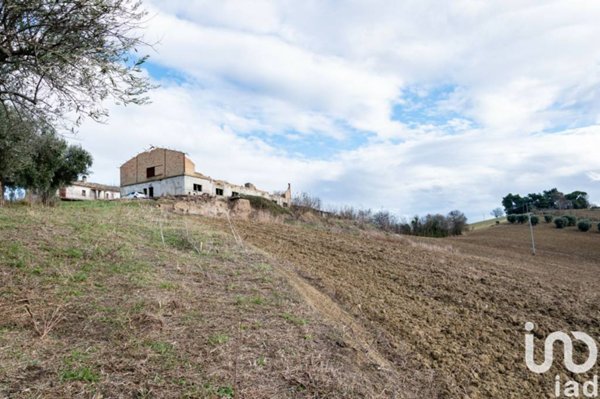 terreno agricolo in vendita ad Osimo