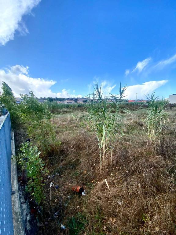 terreno agricolo in vendita ad Osimo