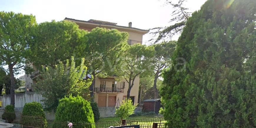 appartamento in vendita ad Osimo