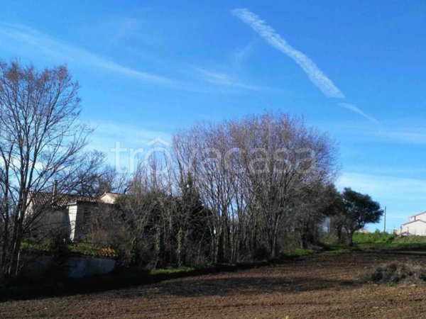 appartamento in vendita ad Osimo