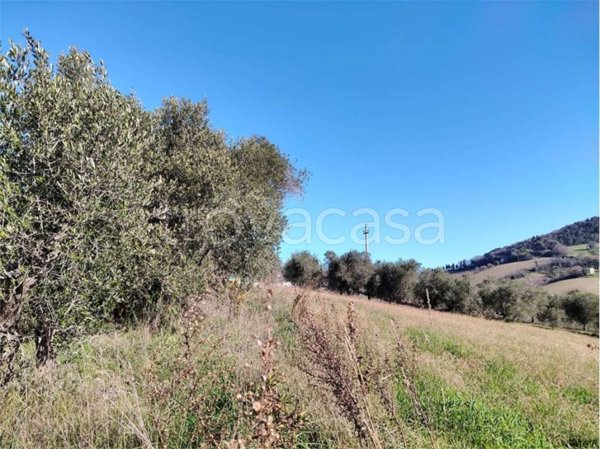 casa indipendente in vendita ad Osimo in zona San Paterniano