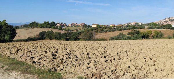 terreno edificabile in vendita ad Osimo in zona San Sabino