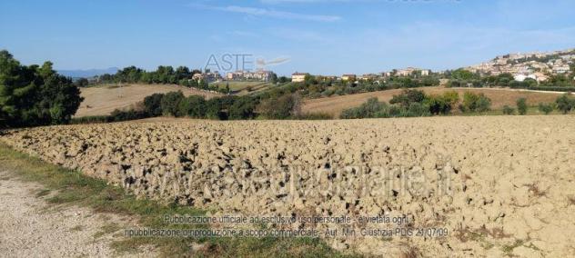 terreno agricolo in vendita ad Osimo in zona San Sabino