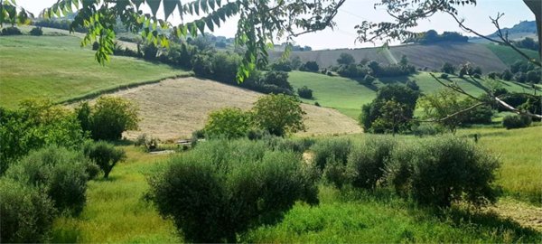 terreno agricolo in vendita ad Osimo in zona San Biagio