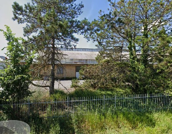 pentavano in vendita ad Osimo in zona Passatempo
