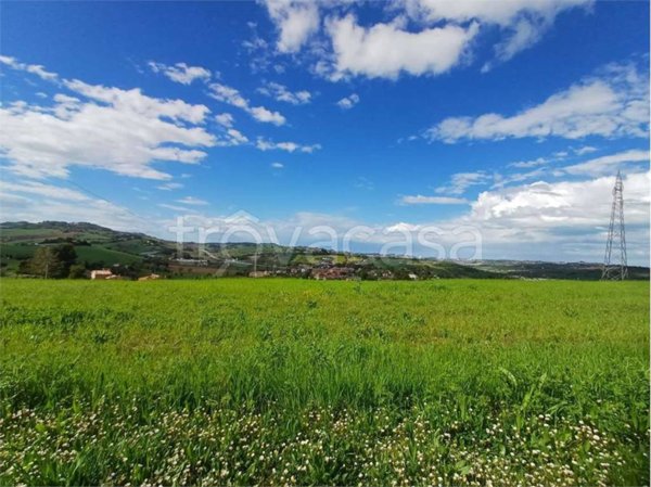 terreno agricolo in vendita ad Osimo in zona San Biagio