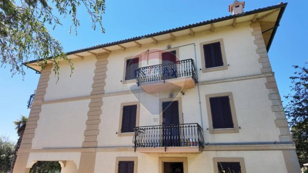 immagine annuncio 0 di 15