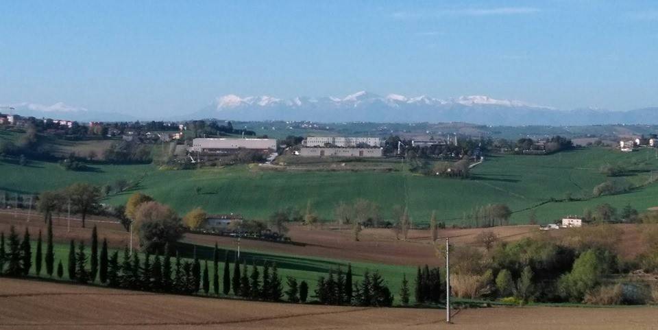 casa indipendente in vendita ad Osimo
