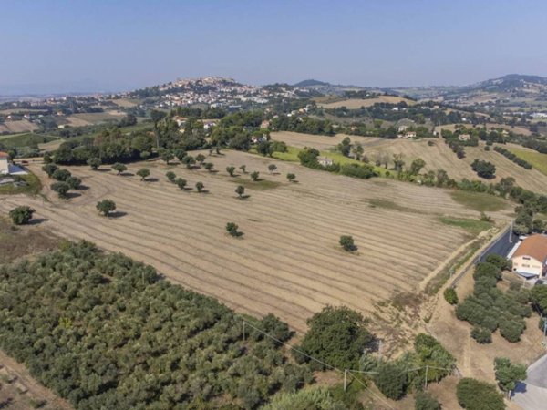 terreno agricolo in vendita ad Osimo in zona Abbadia