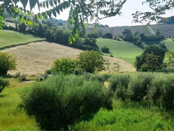 terreno agricolo in vendita ad Osimo in zona San Biagio