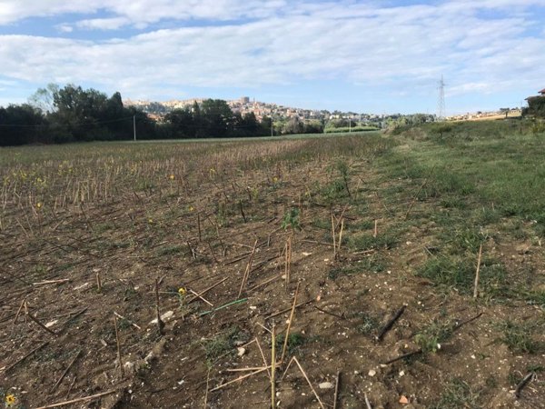 terreno agricolo in vendita ad Osimo in zona Campocavallo