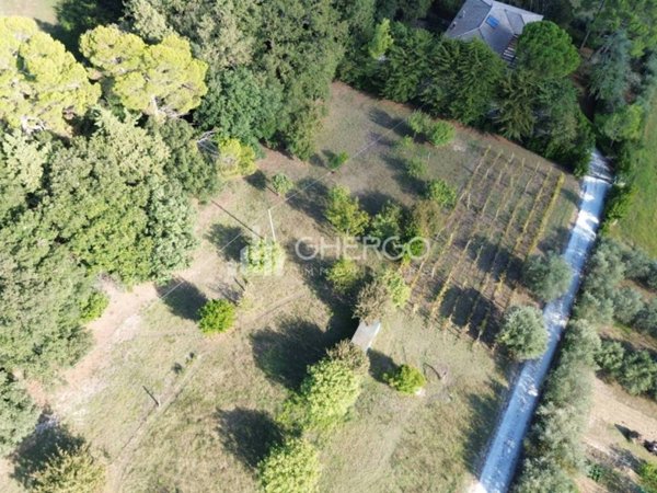 terreno agricolo in vendita ad Osimo