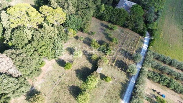 terreno agricolo in vendita ad Osimo