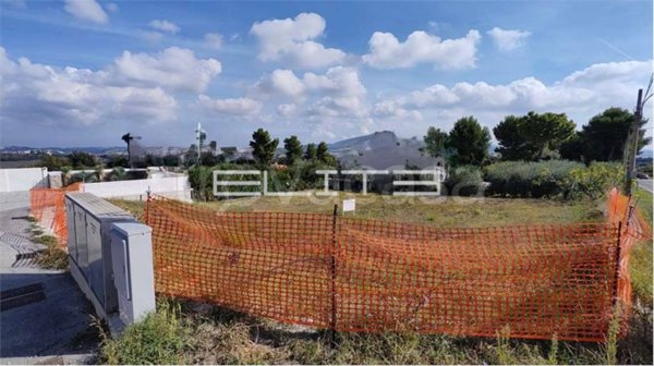 terreno agricolo in vendita ad Osimo