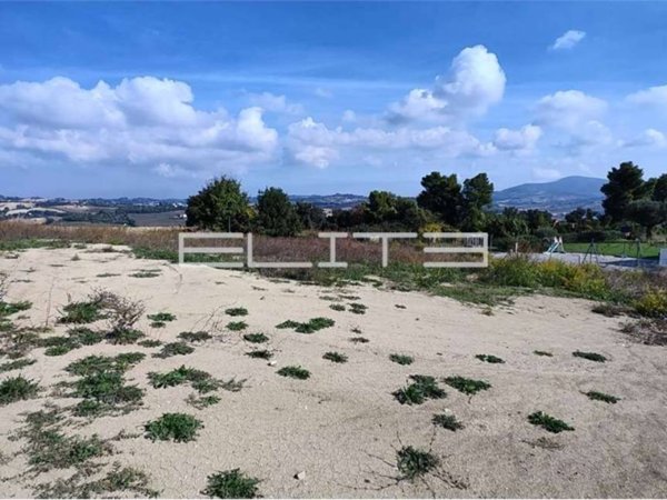 terreno agricolo in vendita ad Osimo