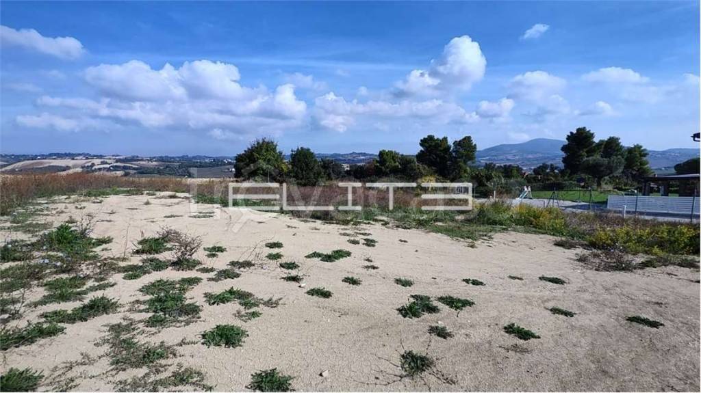 terreno agricolo in vendita ad Osimo