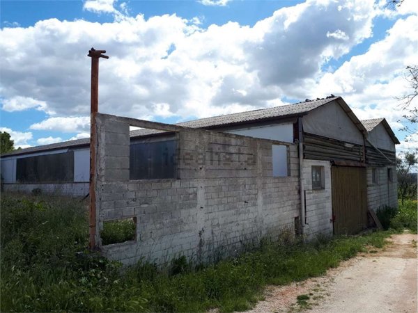 esavano in vendita ad Osimo