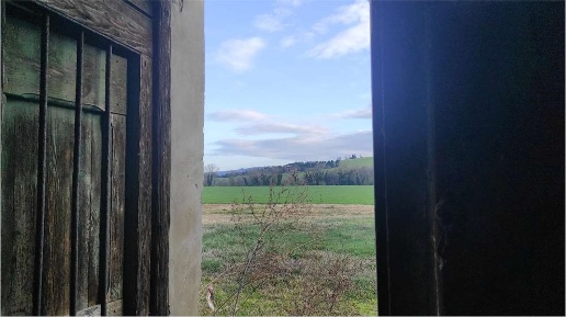 esavano in vendita ad Osimo in zona Campocavallo