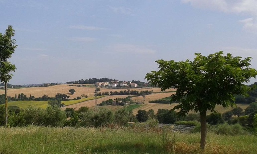 appartamento in vendita ad Osimo