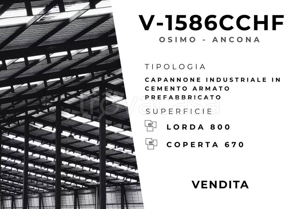 locale commerciale in vendita ad Osimo in zona Campocavallo