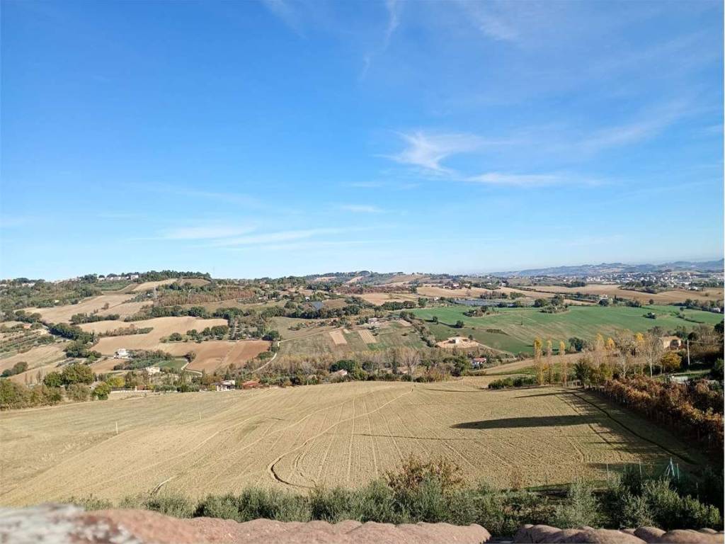 terreno agricolo in vendita ad Osimo in zona San Paterniano