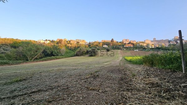 terreno agricolo in vendita ad Osimo
