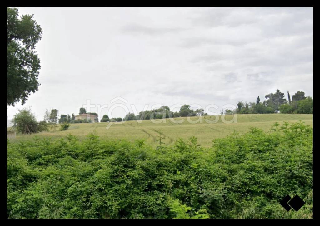 terreno agricolo in vendita ad Osimo