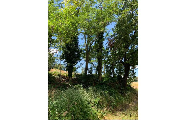 casa indipendente in vendita ad Osimo in zona Abbadia