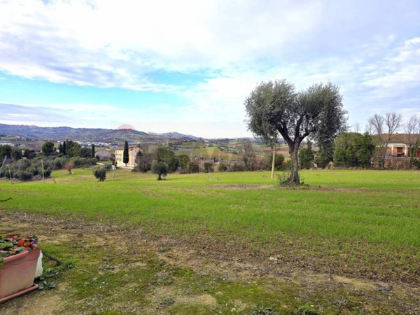 terreno agricolo in vendita ad Osimo in zona Abbadia