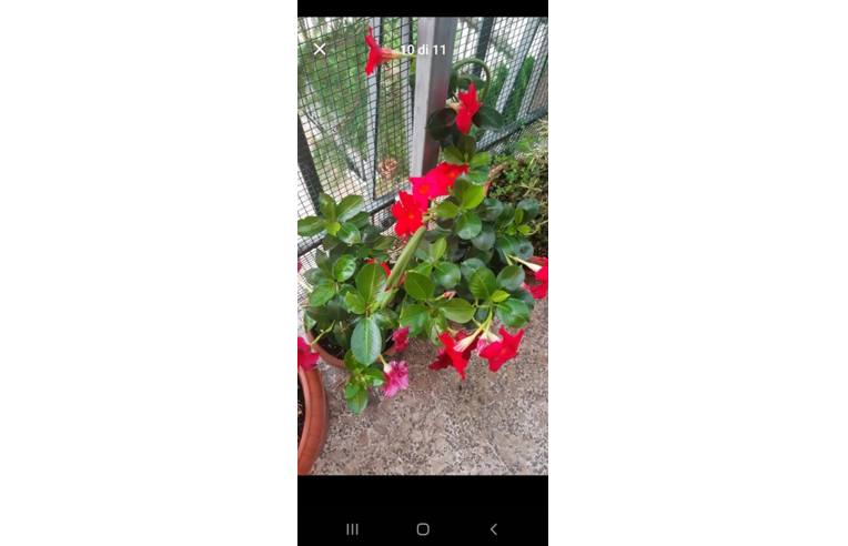 appartamento in vendita ad Osimo in zona San Biagio