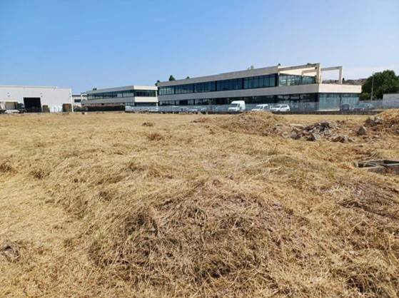 terreno agricolo in vendita ad Osimo